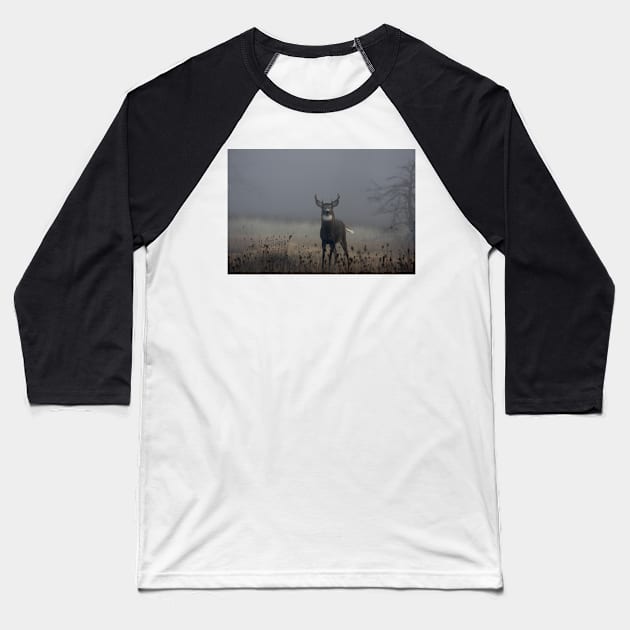 Big Buck - White-tailed Deer Baseball T-Shirt by Jim Cumming